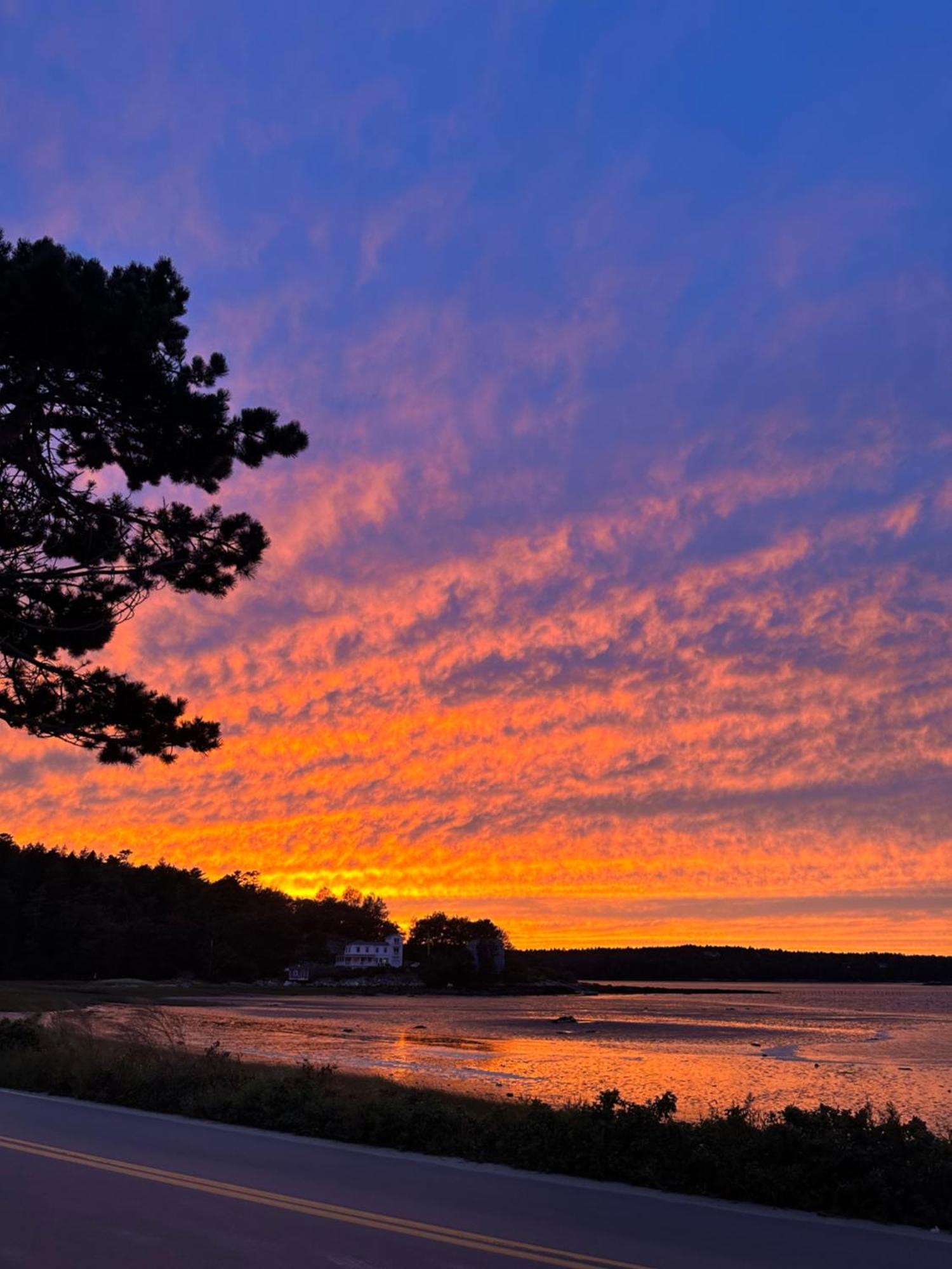 Spinneys Guesthouse & Beach Cottages Phippsburg Exteriör bild